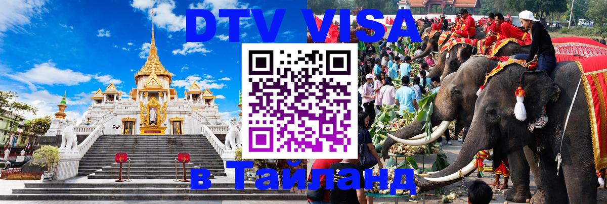 Оформление DTV визы под ключ: стоимость и тарифы, только загранпаспорт - 20.11.2025 